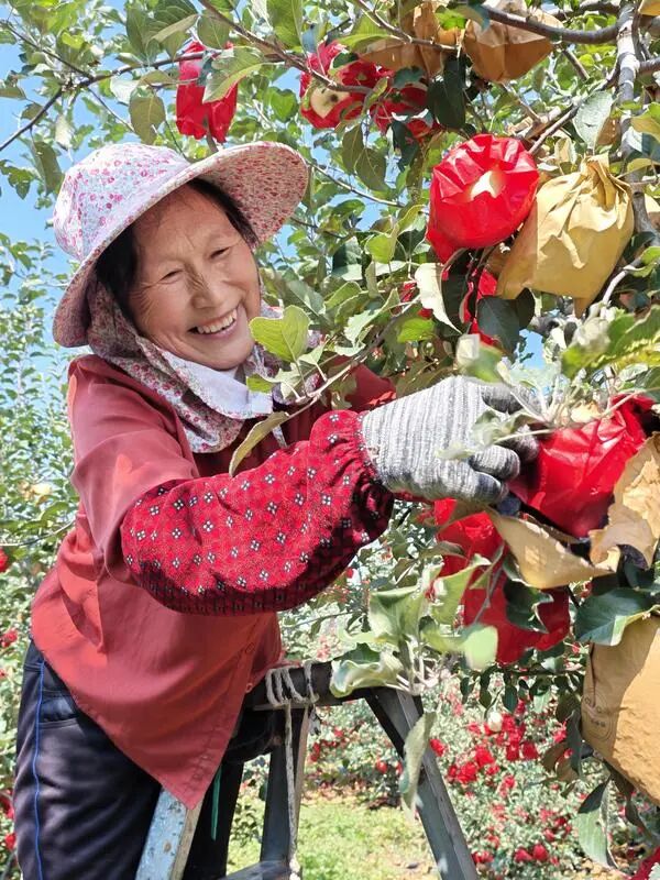 丰收的喜悦。特约摄影 李建琪