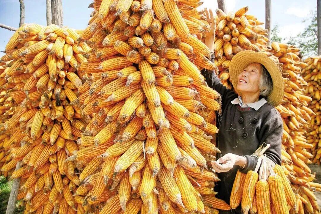 你在庆阳哪里追秋?