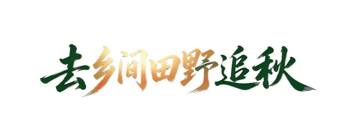 你在庆阳哪里追秋?