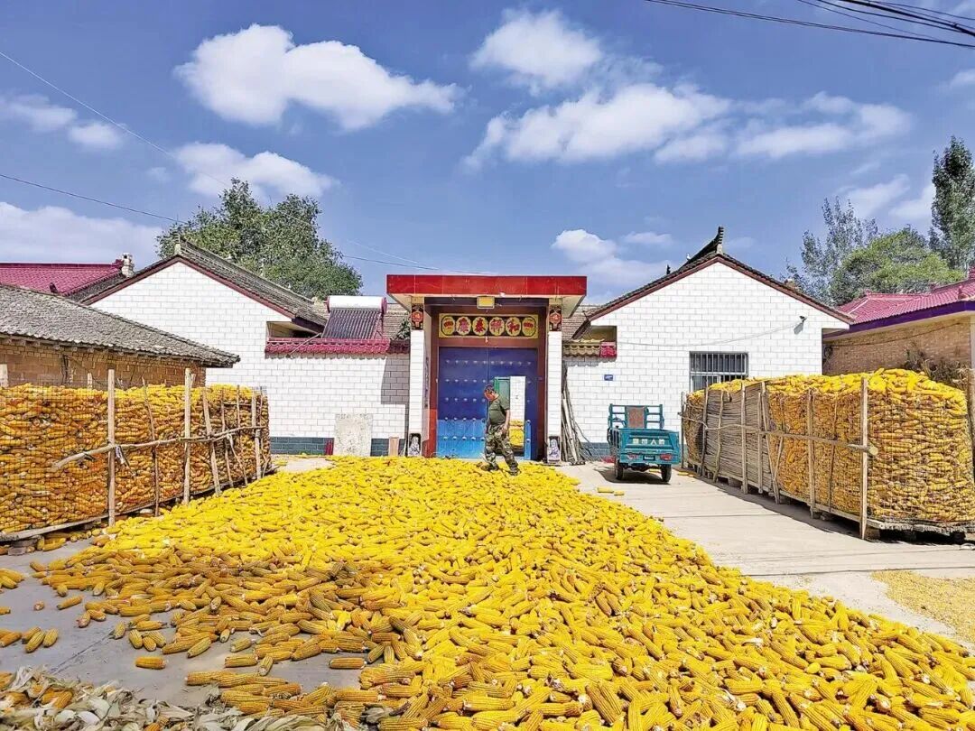 你在庆阳哪里追秋?