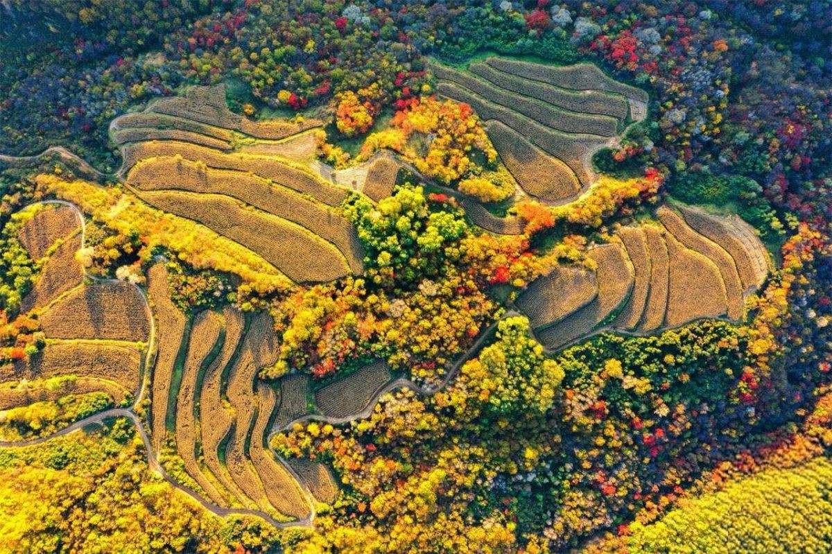 你在庆阳哪里追秋?