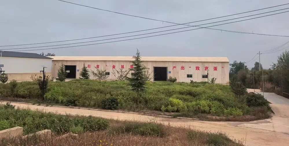 庆阳市动物疫病预防控制中心精心打造蛋鸡疫病综合防控与净化技术推广点