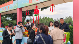 “甘味”庆阳农产品香飘“丰收”盛会