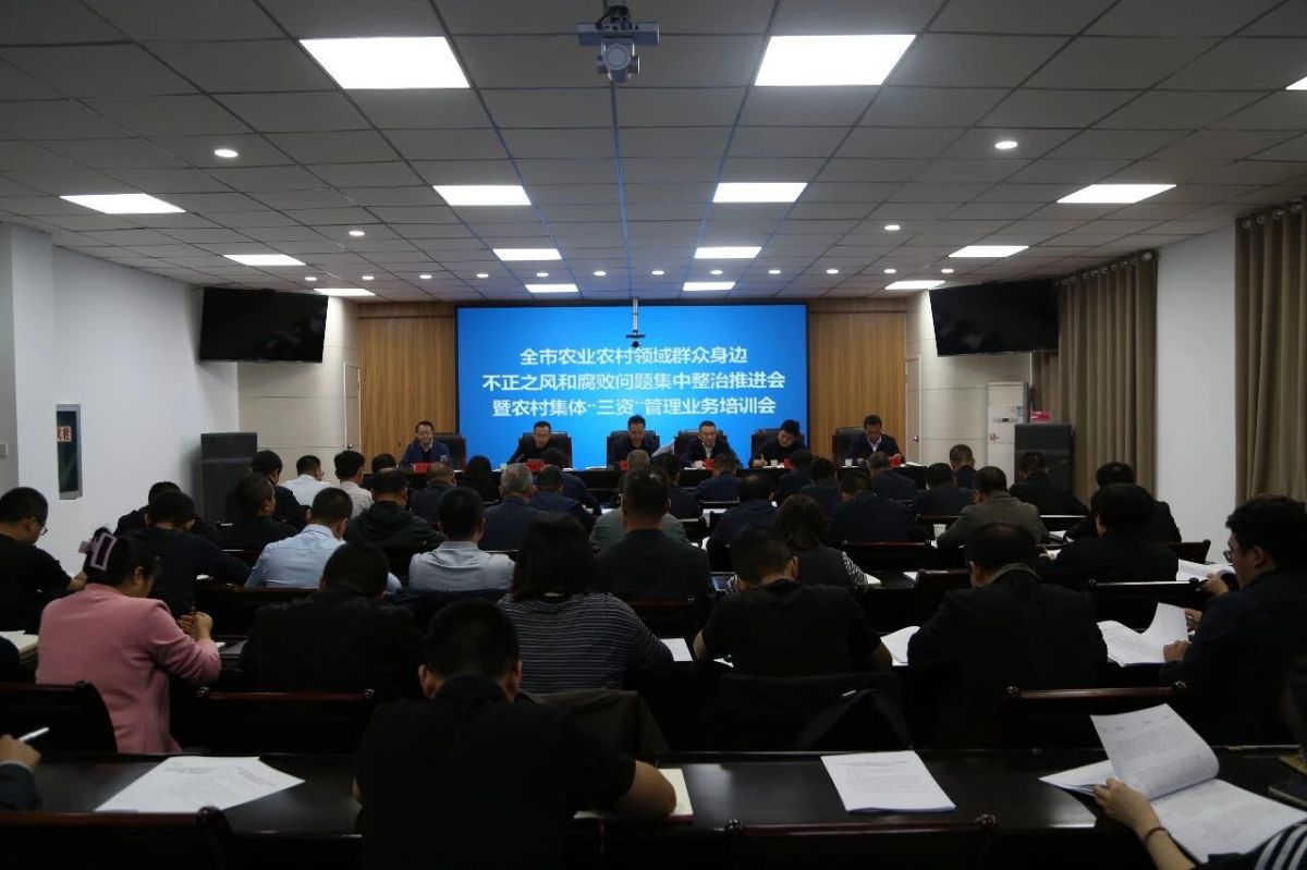 庆阳市农业农村领域群众身边不正之风和腐败问题集中整治推进会暨农村集体“三资”管理业务培训会议召开
