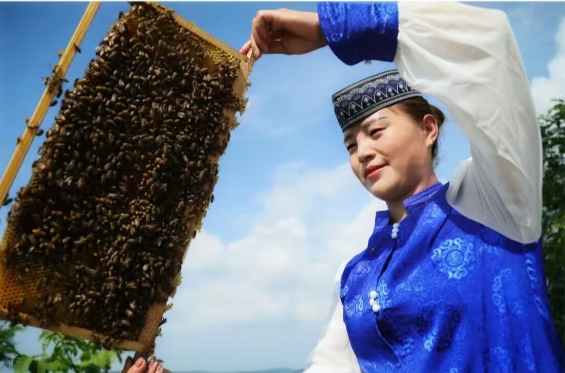 苏亚丽:一巢蜂蜜甜邻里 一腔真心聚同心