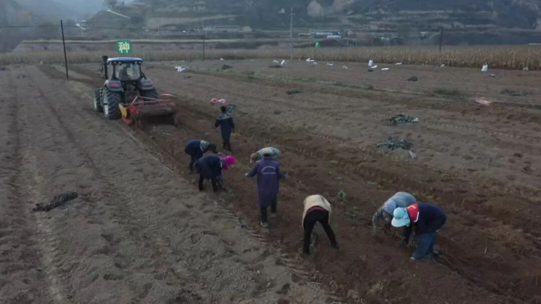 华池县推动中药材全产业链高质量发展纪实