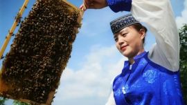 苏亚丽：一巢蜂蜜甜邻里 一腔真心聚同心