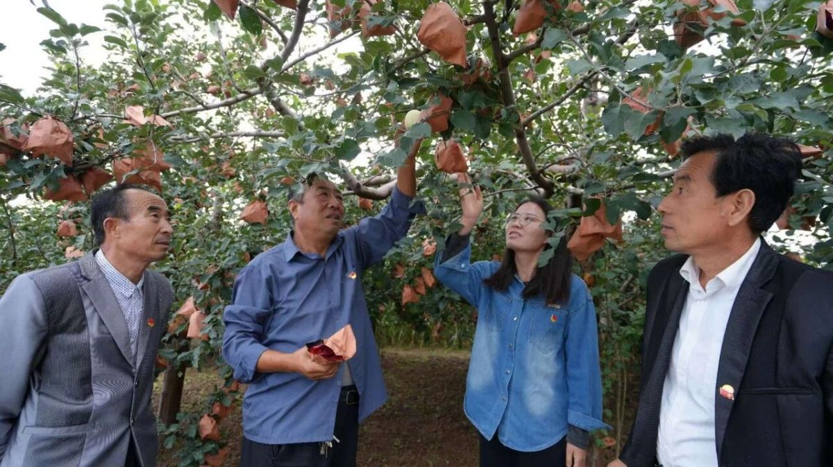 正宁县永正镇:凝心聚力抓秋收 科技赋能促振兴