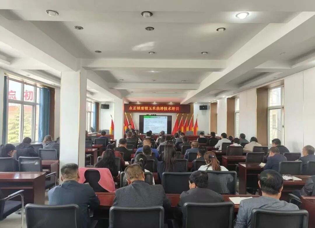 正宁县永正镇:凝心聚力抓秋收 科技赋能促振兴