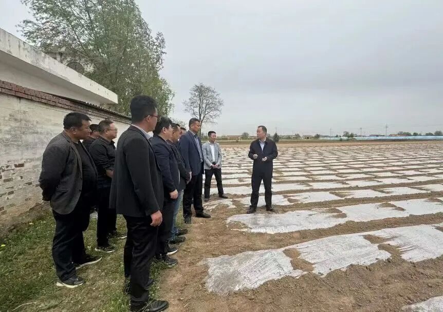 正宁县永正镇:凝心聚力抓秋收 科技赋能促振兴