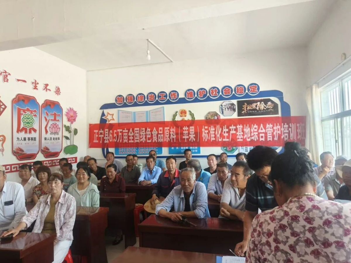 正宁县永正镇:凝心聚力抓秋收 科技赋能促振兴