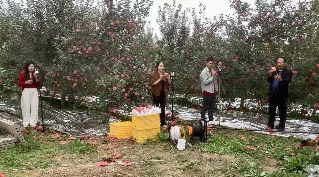 庆城:主播进果园入农家 双节助农有“流量”更有“销量”