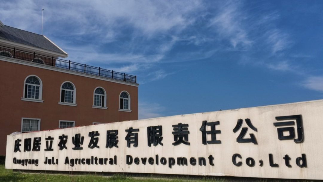 镇原县苹果产业绘就乡村振兴新画卷