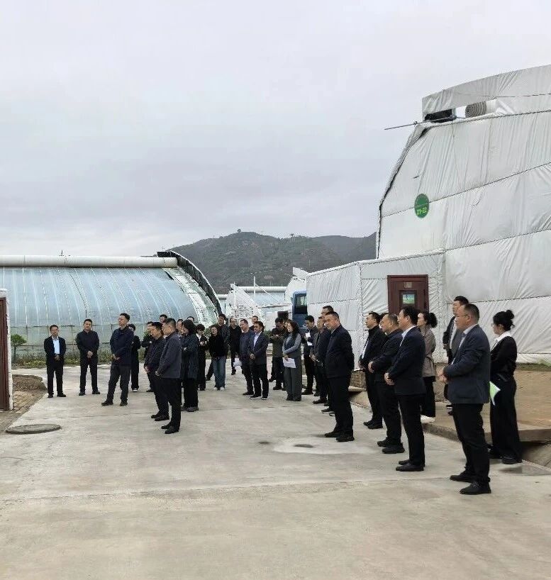 环县政协组织委员开展全县重大项目建设情况视察观摩活动