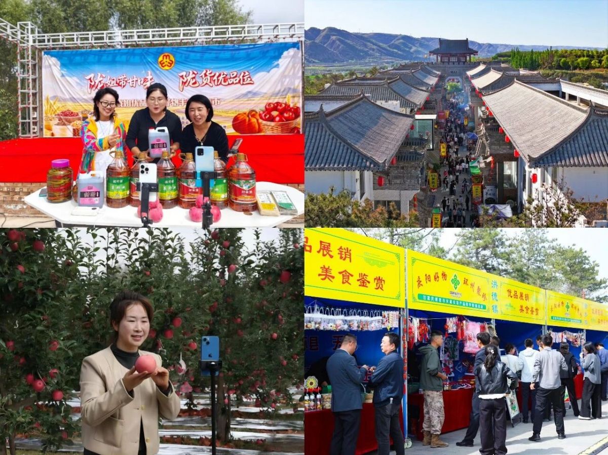 庆阳市2026年中国农民丰收节活动综述