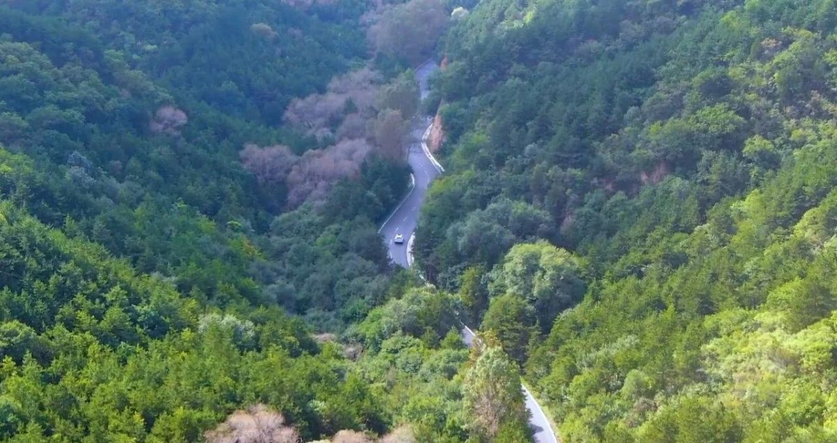 庆阳公路事业发展中心以精细养护助力革命老区交旅融合