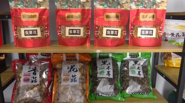 合水县老城镇:小木耳撑起“致富伞” 全链条激活振兴路