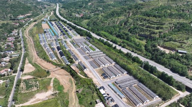 合水县老城镇:小木耳撑起“致富伞” 全链条激活振兴路