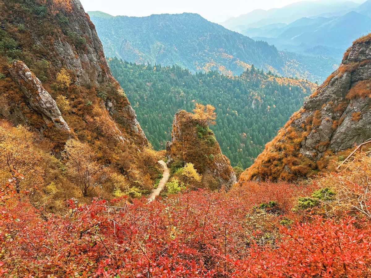 位于甘肃康乐、临潭、卓尼、渭源和临洮五县交界处的莲花山秋景 摄影师/何志敏