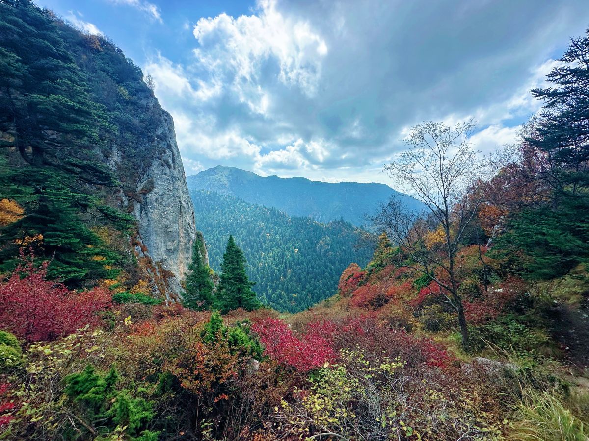 位于甘肃康乐、临潭、卓尼、渭源和临洮五县交界处的莲花山秋景 摄影师/何志敏