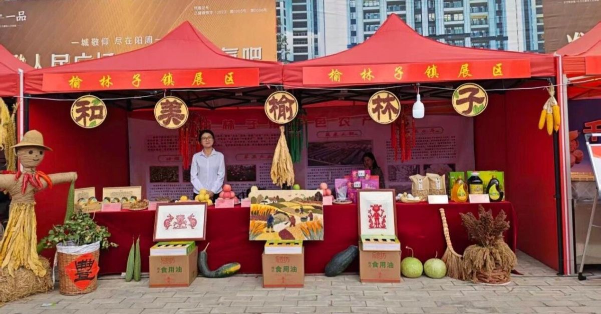 正宁县榆林子镇:金秋时节话丰年 多元产业绘就乡村振兴“新图景”