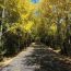 沿着公路看甘肃｜路域整治焕新颜 交旅融合谱新篇——正宁公路段以路域环境整治绘就交旅融合新画卷