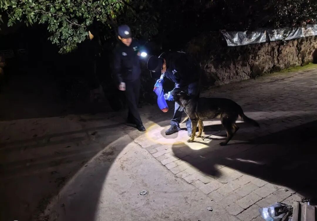 接警后,庆城县公安局情指中心迅速调度,特警大队、警犬中队火速赶赴现场,联合赤城派出所展开全方位搜救。民警通过调取沿途监控追踪轨迹,启用无人机对周边沟壑、荒坡开展空中巡查。警犬中队训导员提取嗅源,利用搜救犬嗅觉优势在沟坎、林地开展气味追踪。同时发动周边村民、热心群众帮忙留意线索,深入村落、沟壕逐片排查。