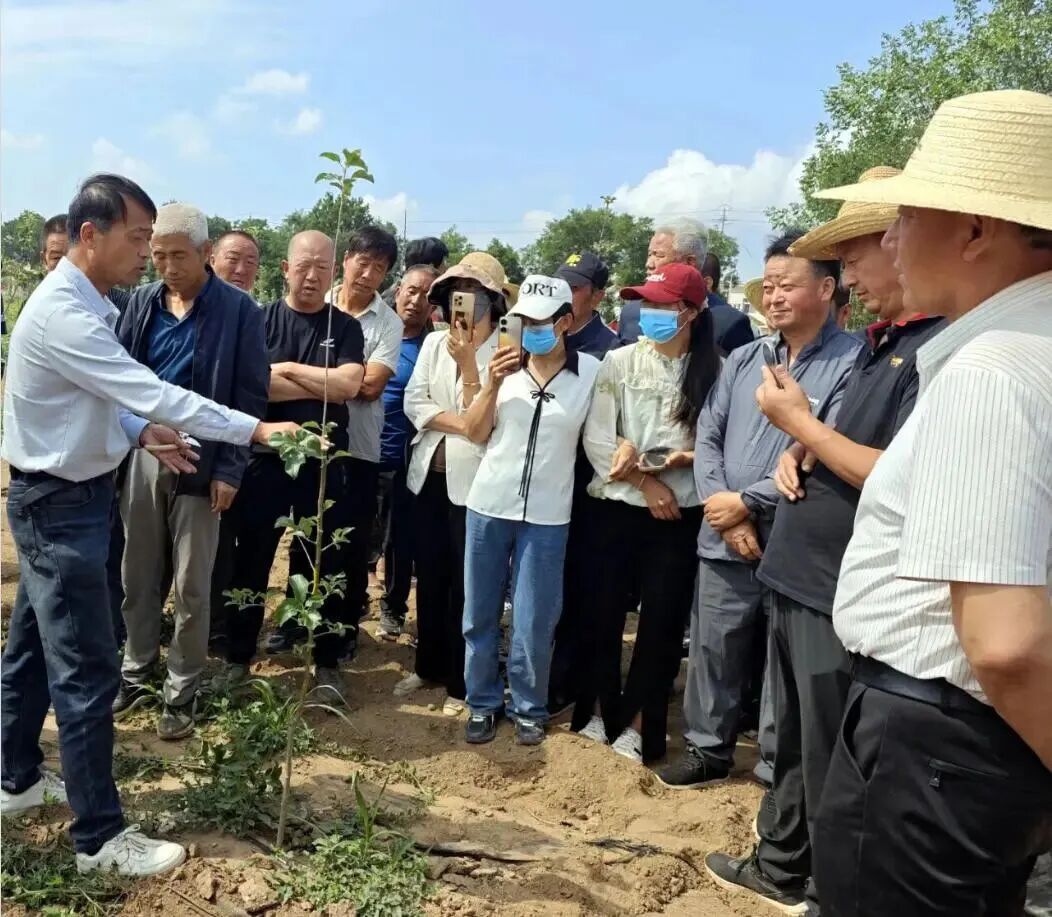 县果业中心技术人员到田间讲解苹果栽植实用技术