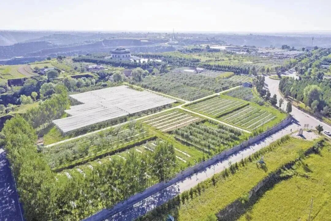 庆城县苹果试验示范站千亩苹果示范园