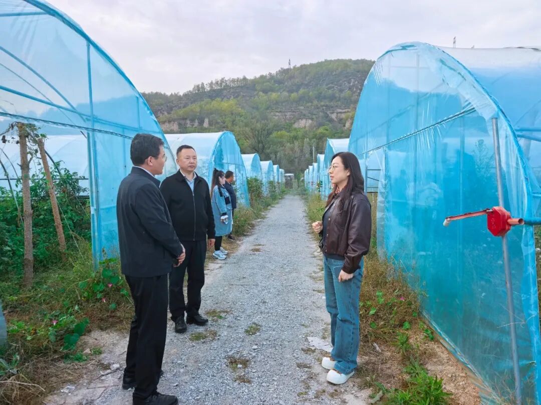 强化专项督查 提升农村集体“三资”审计监督效能
