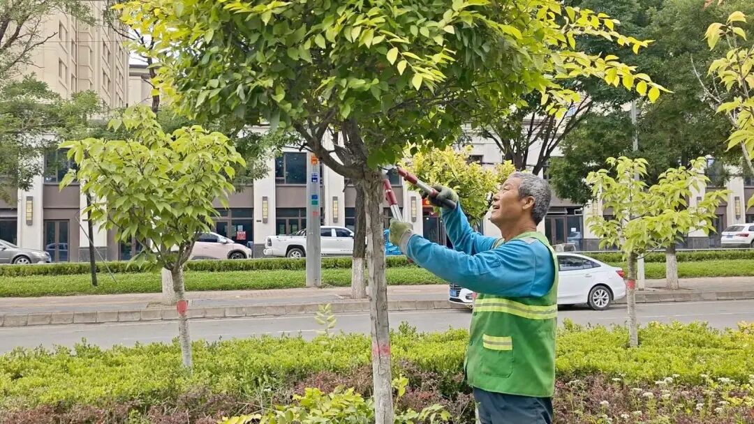 西峰区常态化管护 擦亮城市绿色底色