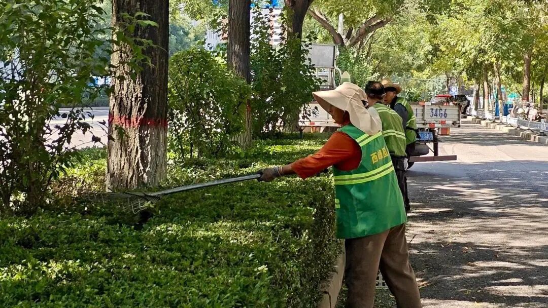 西峰区常态化管护 擦亮城市绿色底色