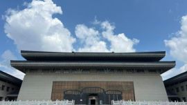 岐黄薪火映庆城 一剂跨越五千年的“时代药方”