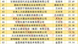 2026甘肃民营企业100强发布
