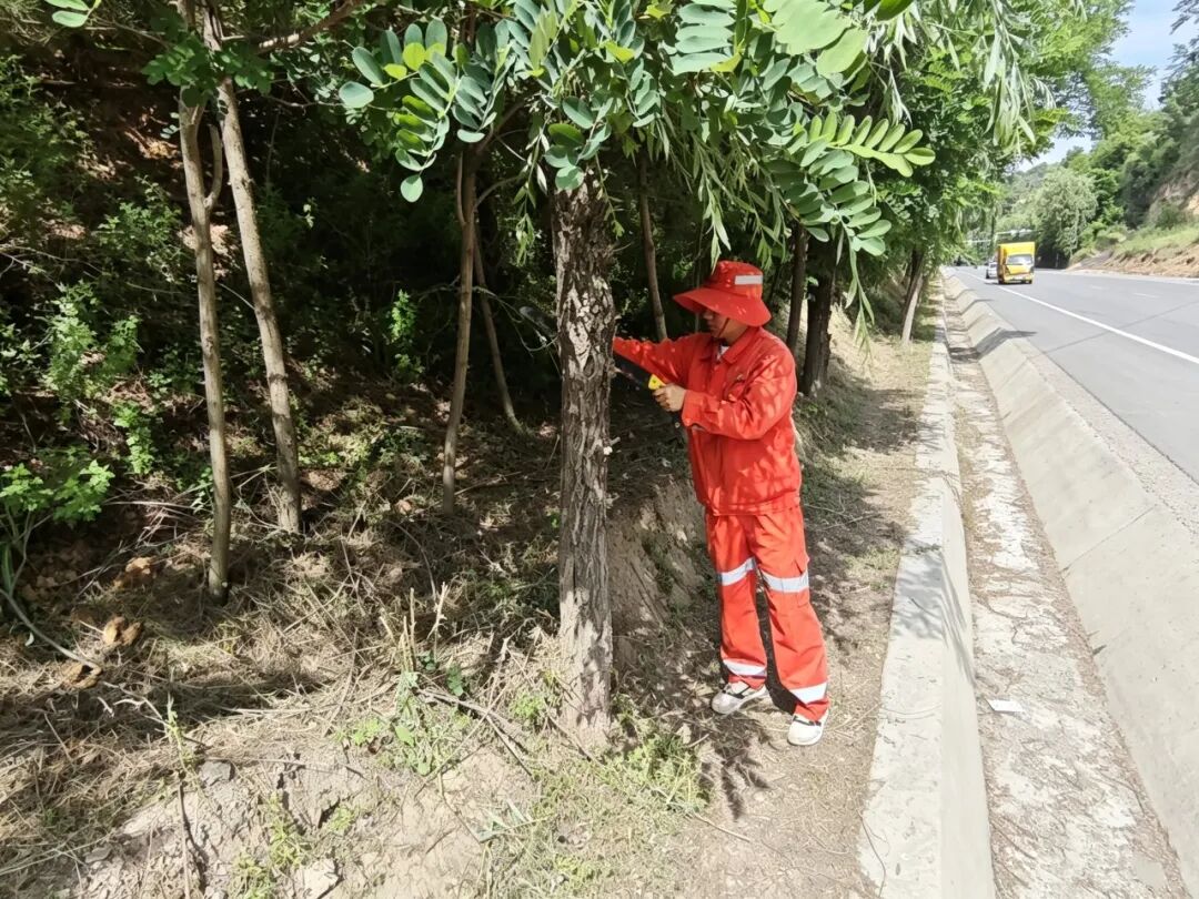 青春献公路  建功新时代&mdash;&mdash;一名公路人的青春答卷