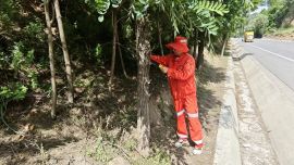 青春献公路  建功新时代——一名公路人的青春答卷