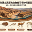 【图说科普】陇东化石守护记：从黄土地读懂远古生命