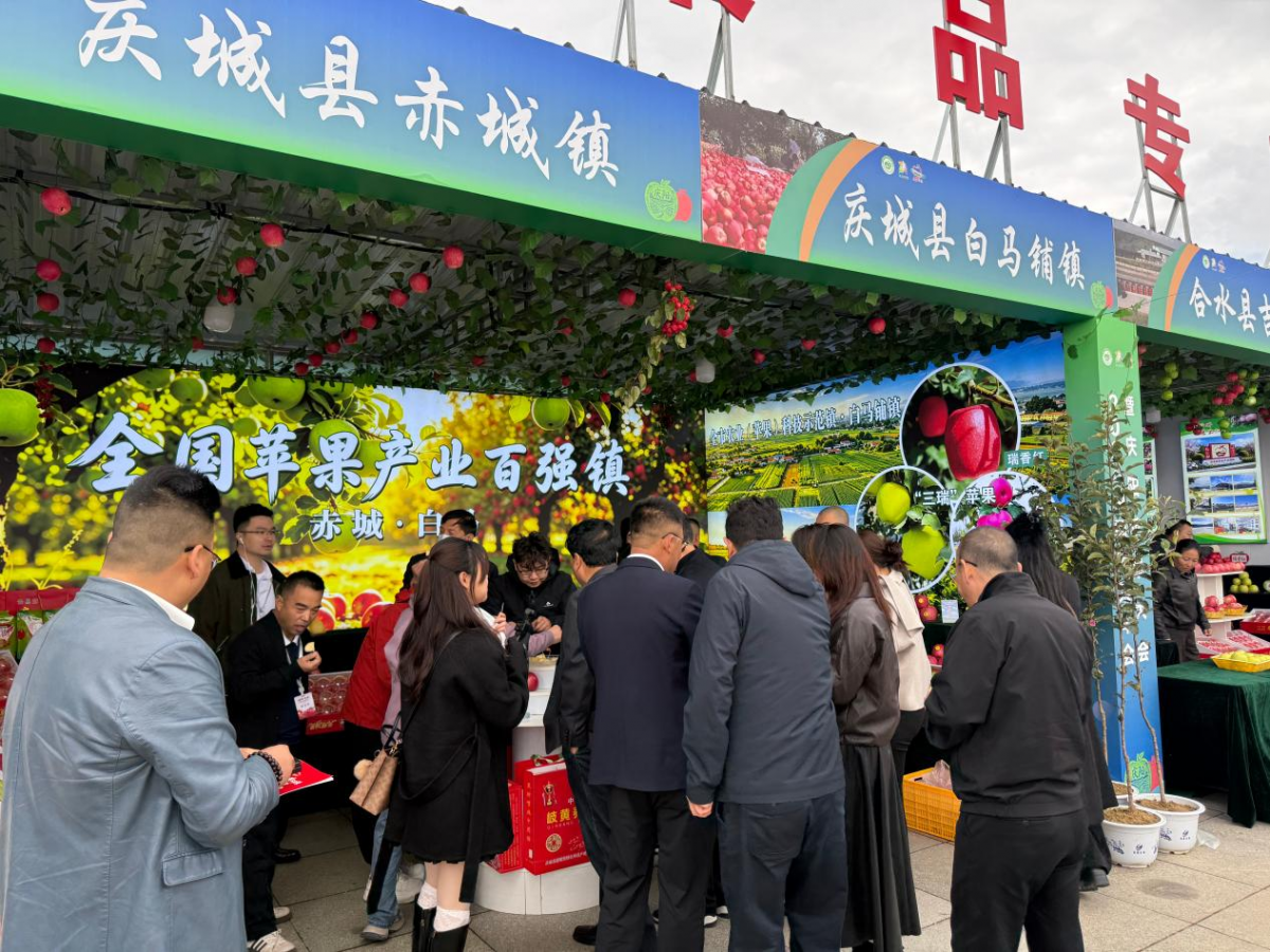 陕西省庆阳商会考察团赴庆城县开展苹果产业考察调研