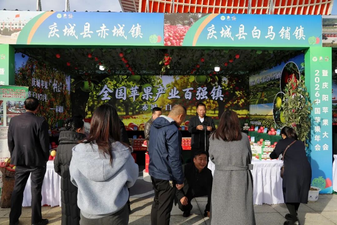 庆城苹果惊艳亮相2026庆阳苹果年会