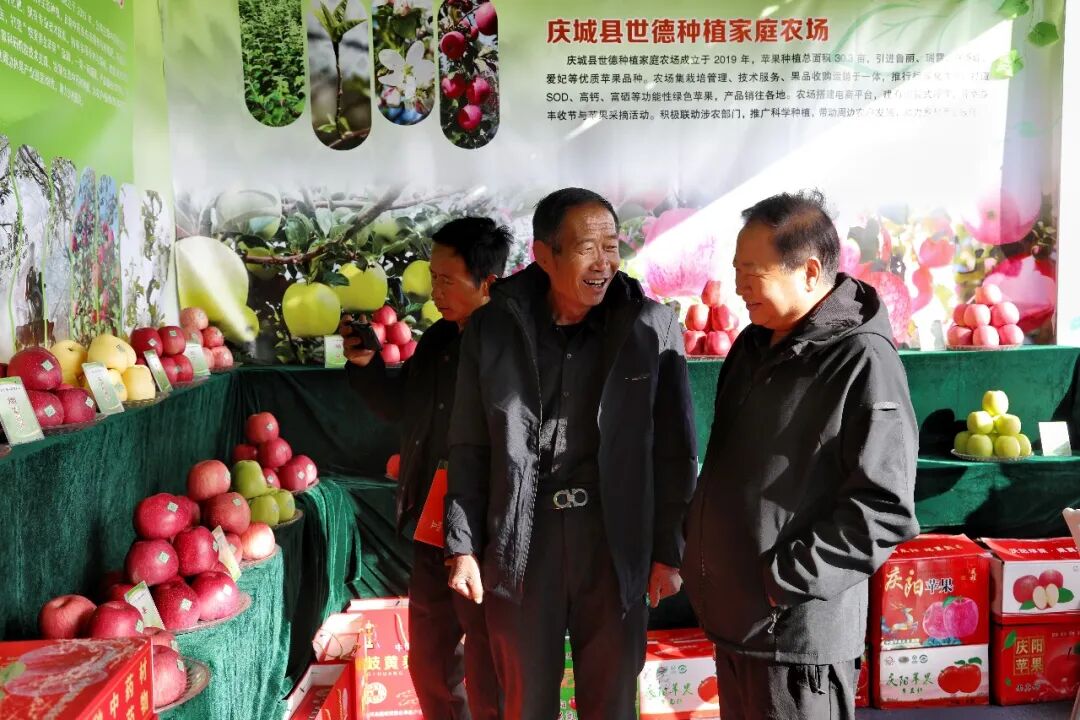 庆城苹果惊艳亮相2026庆阳苹果年会