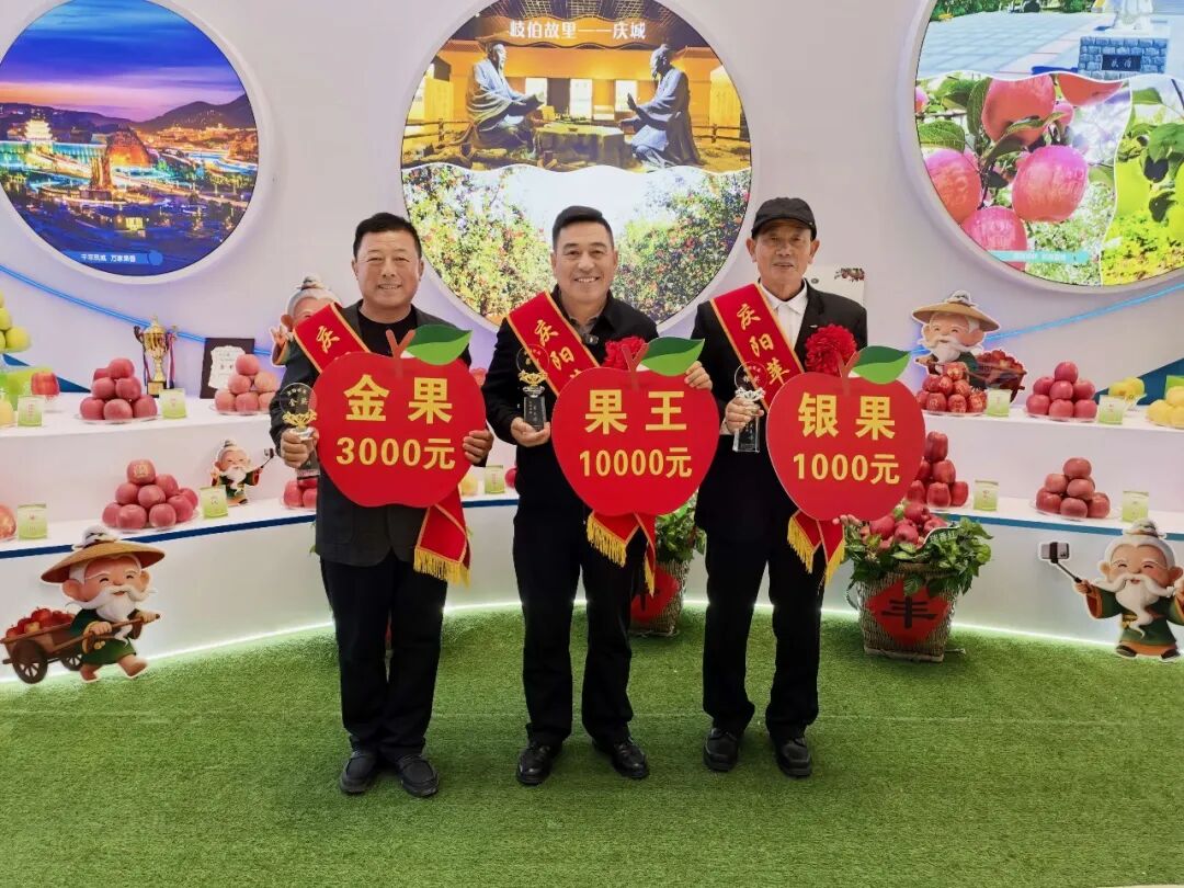 庆城县在庆阳苹果“赛果”评鉴中斩获佳绩