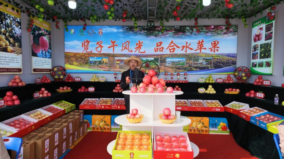 合水县特色农产品精彩亮相2026中国苹果年会暨庆阳苹果大会