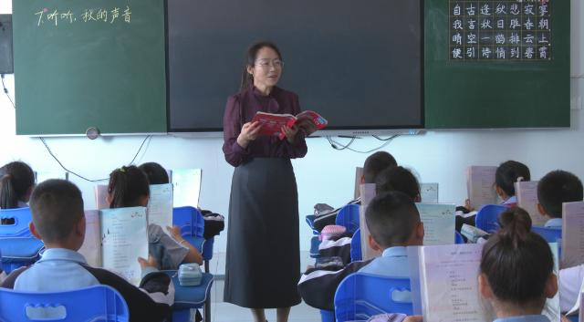 王丽:深耕教育守初心 履职为民显芳华
