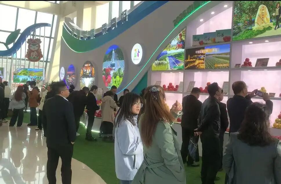 庆城苹果全链条发力 好果子卖出好价钱