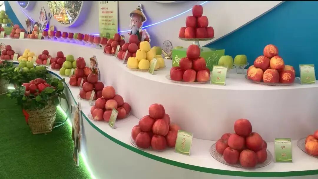 庆城苹果全链条发力 好果子卖出好价钱