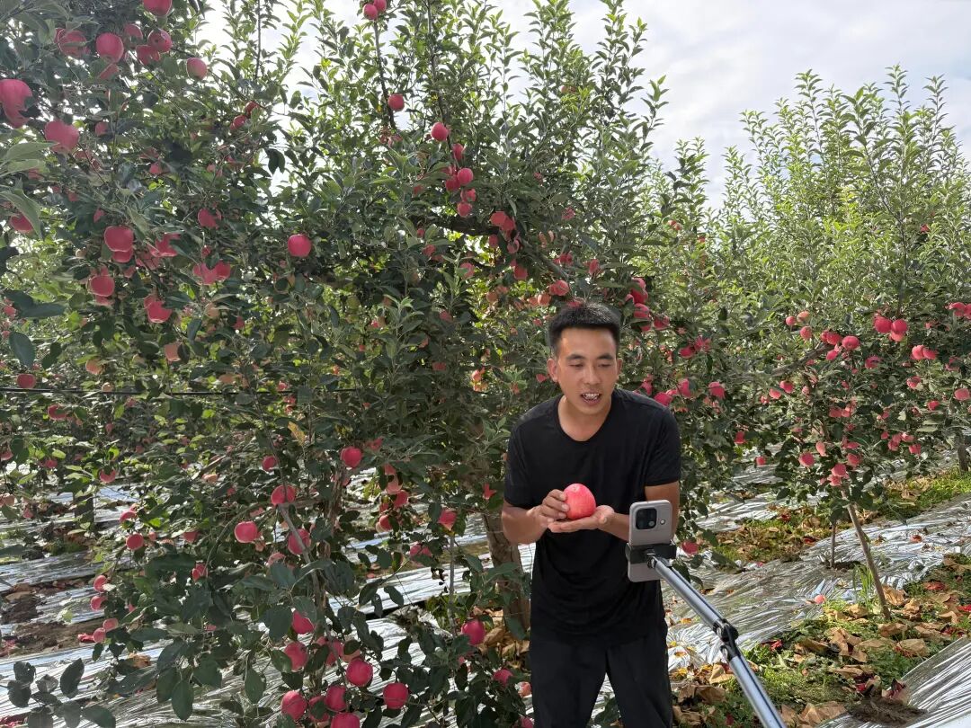 三十年耕耘结硕果 薪火相传苹果香 ——“果王” 张永忠的种果兴农路