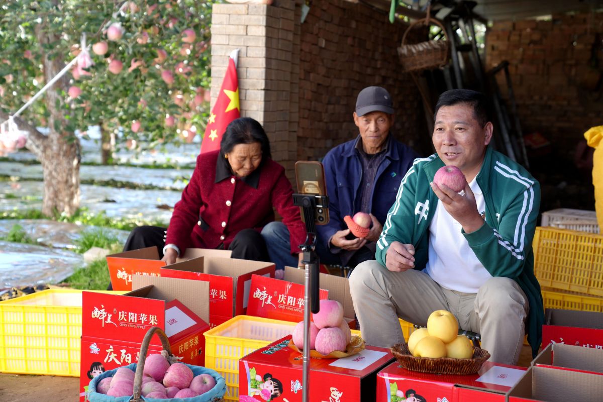 合水县吉岘镇:金秋硕果满枝头 特色果业促增收