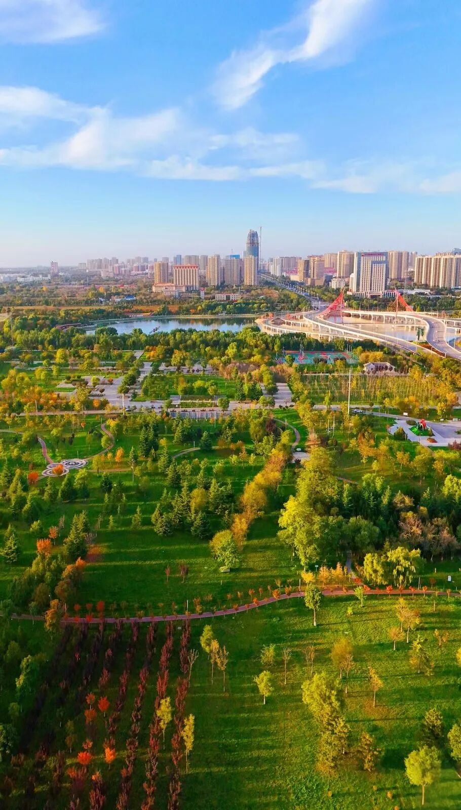 塬上天高云淡,沟壑纵横,阳光落在黄土坡上,像给岁月镀了一层柔和的金。