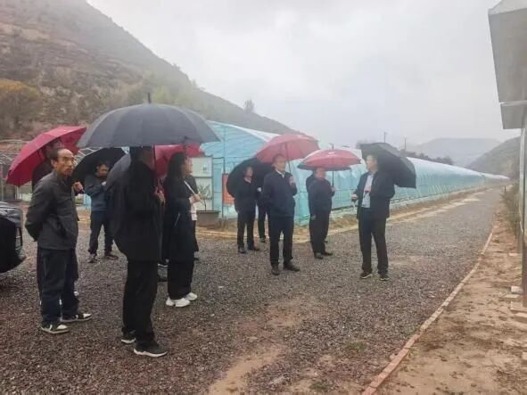 华池县开展沙棘产业专题研学赋能活动
