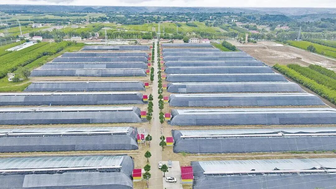 正宁县宫河镇:党建领航聚合力 全域提质绘新卷